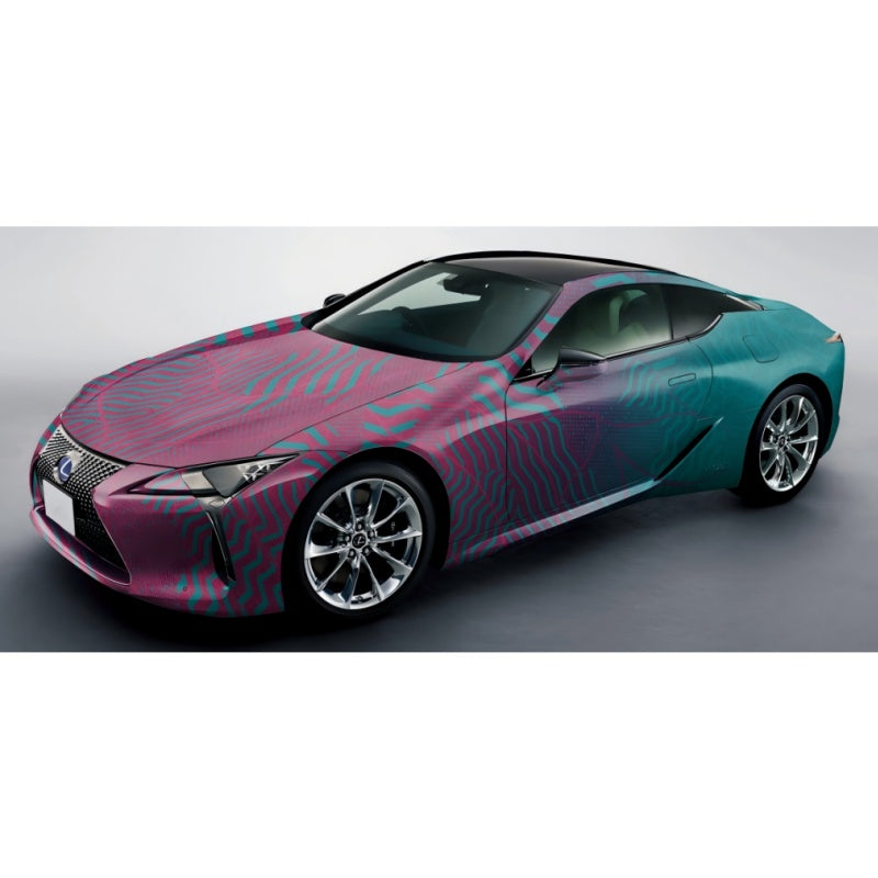 Customized painted series Car Film Viny Wrap