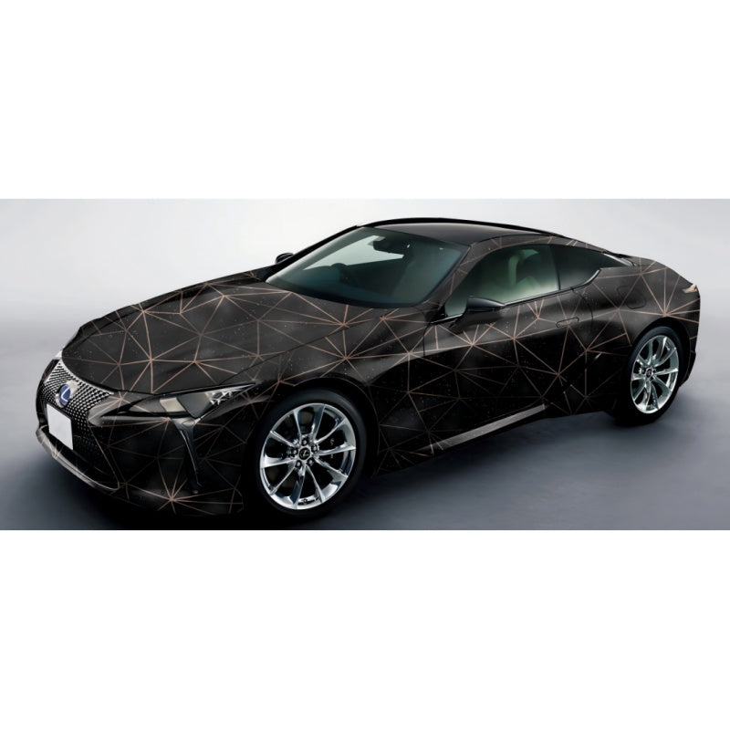 Customized painted series Car Film Viny Wrap