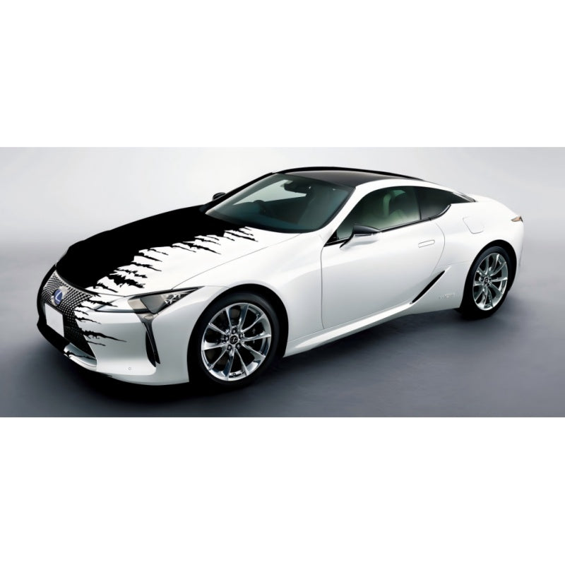 Customized painted series Car Film Viny Wrap