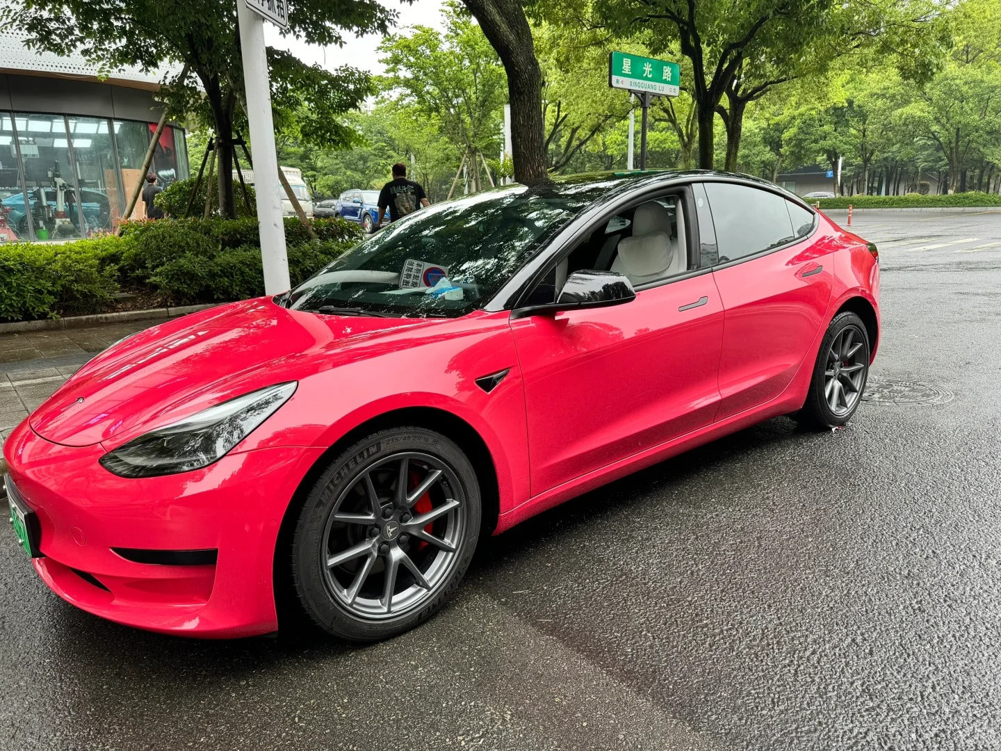 Crystal Strawberry Red(FYL-6793C) Car TPU Color PPF