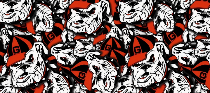 Skull series Custom Vinyl Car Wrap