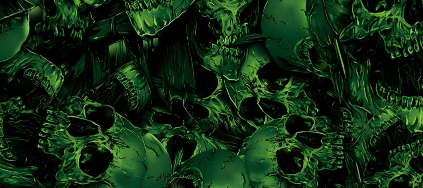 Skull series Custom Vinyl Car Wrap