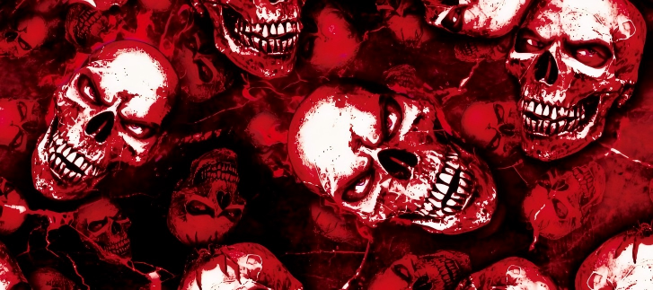 Skull series Custom Vinyl Car Wrap