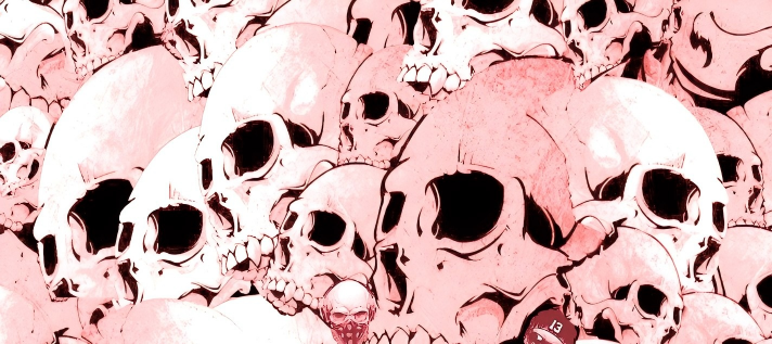 Skull series Custom Vinyl Car Wrap