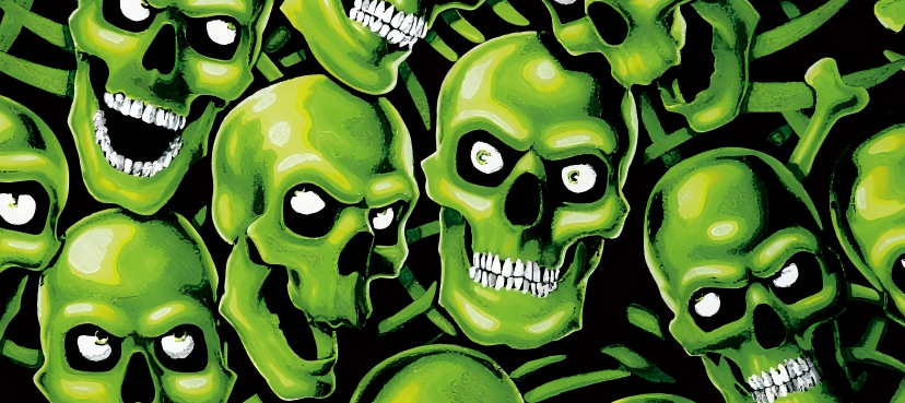 Skull series Custom Vinyl Car Wrap