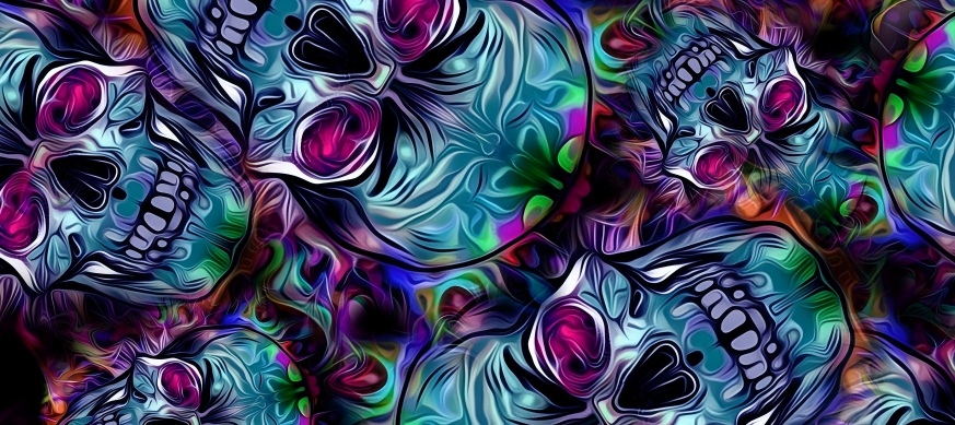 Skull series Custom Vinyl Car Wrap