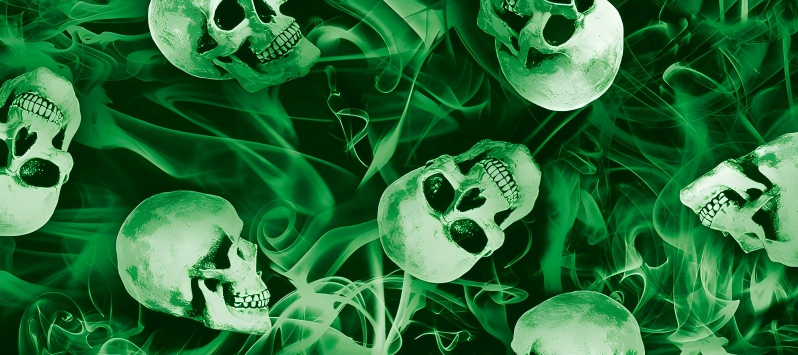 Skull series Custom Vinyl Car Wrap