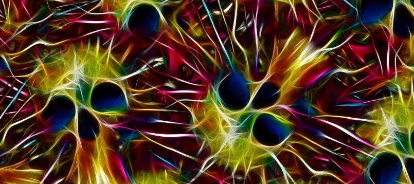 Skull series Custom Vinyl Car Wrap