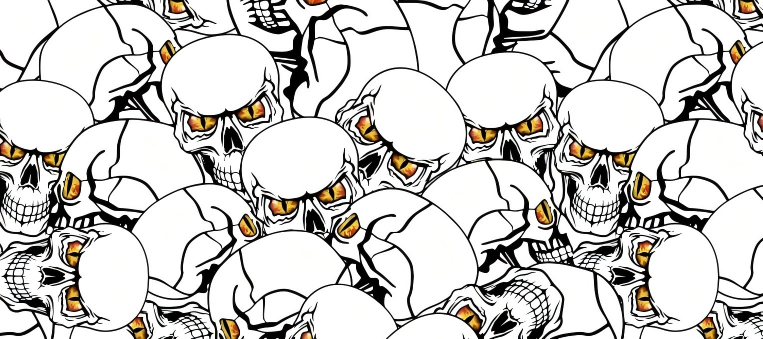 Skull series Custom Vinyl Car Wrap