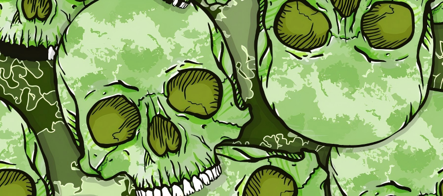 Skull series Custom Vinyl Car Wrap