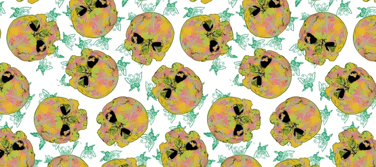 Skull series Custom Vinyl Car Wrap