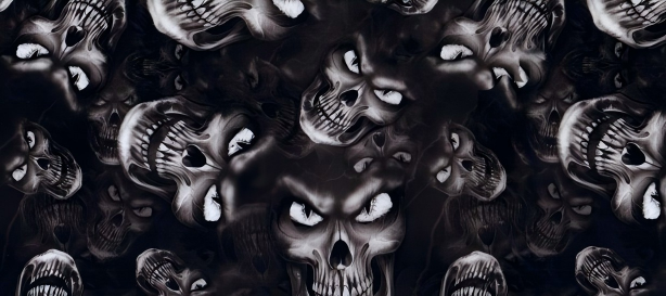 Skull series Custom Vinyl Car Wrap