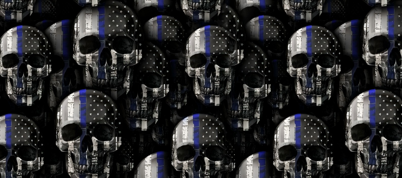 Skull series Custom Vinyl Car Wrap