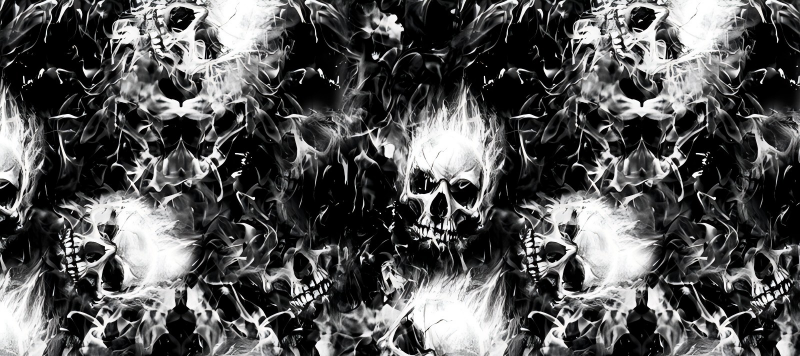 Skull series Custom Vinyl Car Wrap