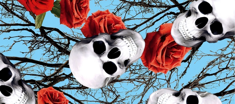 Skull series Custom Vinyl Car Wrap