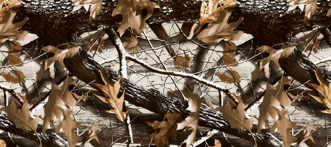 Leaf Series Custom Vinyl Car Wrap