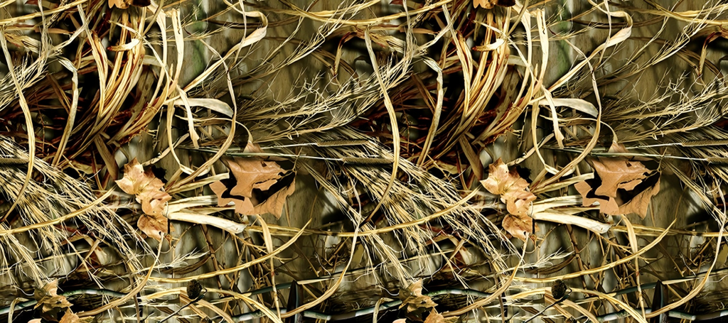 Leaf Series Custom Vinyl Car Wrap