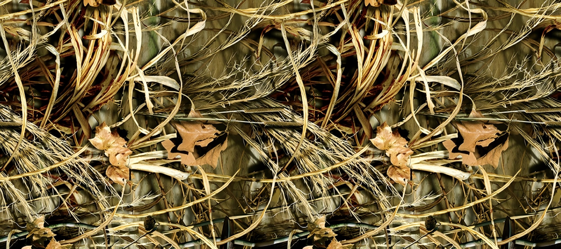 Leaf Series Custom Vinyl Car Wrap