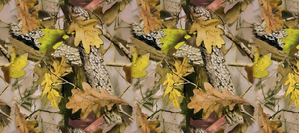 Leaf Series Custom Vinyl Car Wrap