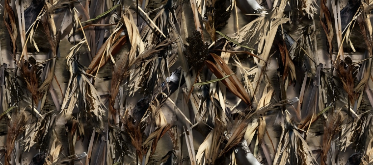 Leaf Series Custom Vinyl Car Wrap