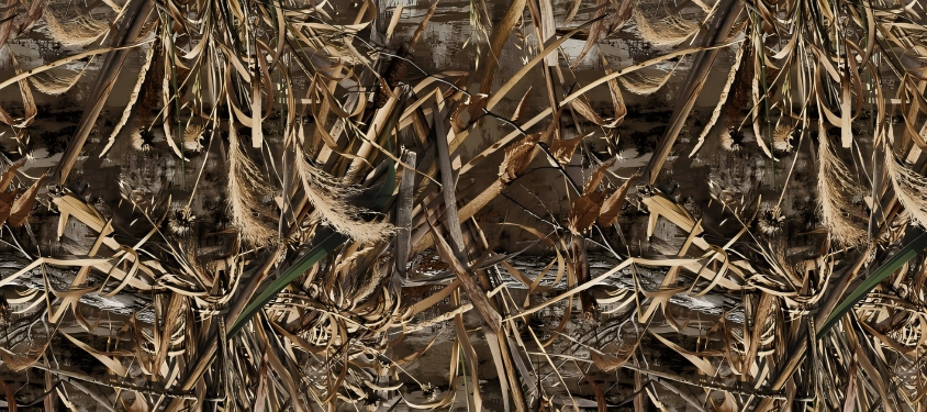 Leaf Series Custom Vinyl Car Wrap