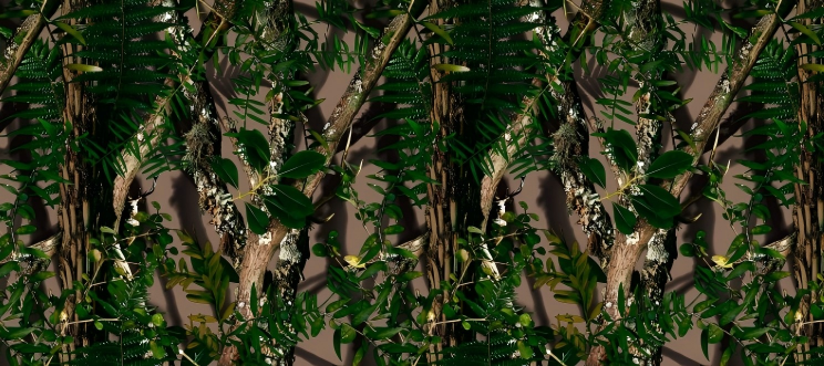 Leaf Series Custom Vinyl Car Wrap