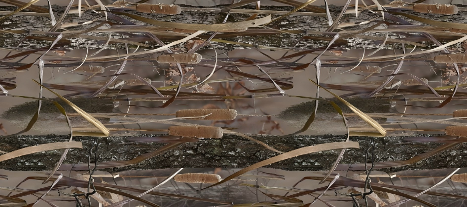 Leaf Series Custom Vinyl Car Wrap