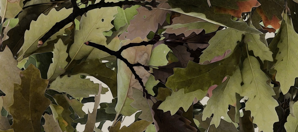 Leaf Series Custom Vinyl Car Wrap