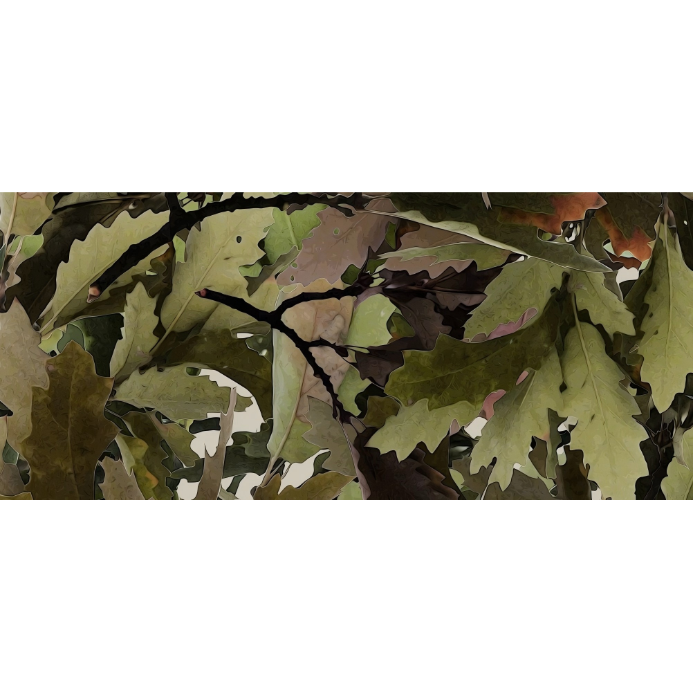 Leaf Series Custom Vinyl Car Wrap