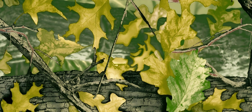 Leaf Series Custom Vinyl Car Wrap