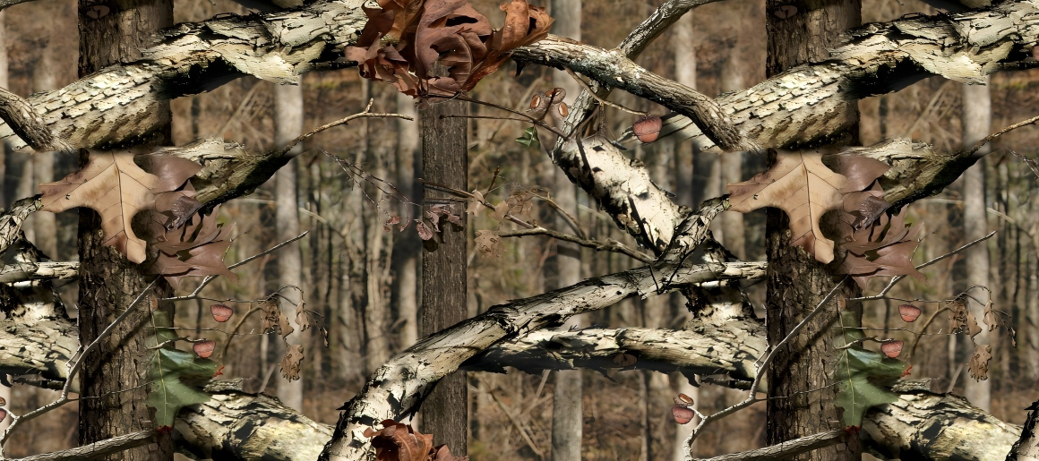 Leaf Series Custom Vinyl Car Wrap