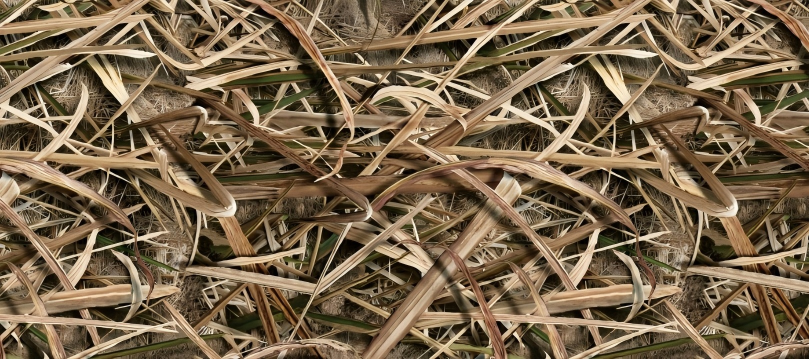 Leaf Series Custom Vinyl Car Wrap