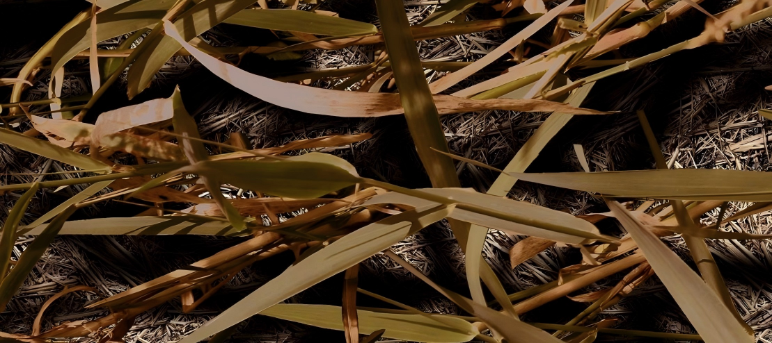 Leaf Series Custom Vinyl Car Wrap