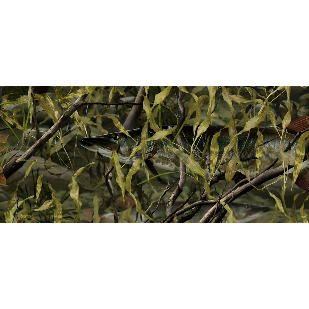 Leaf Series Custom Vinyl Car Wrap