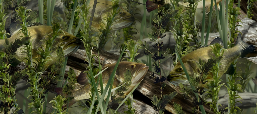 Leaf Series Custom Vinyl Car Wrap