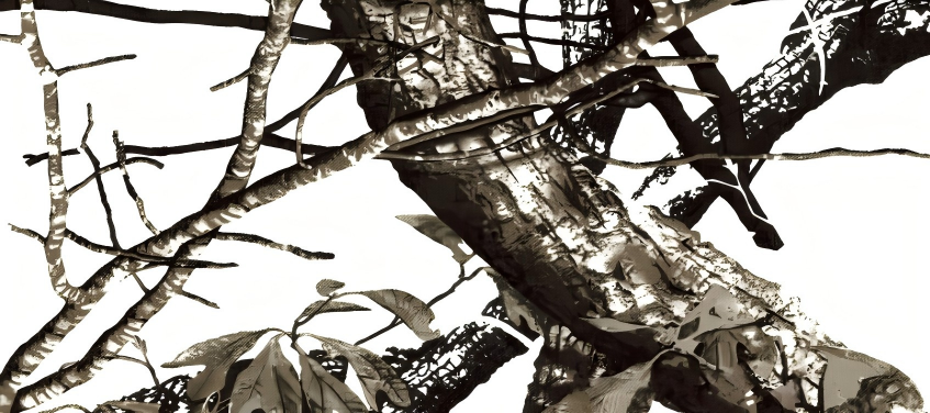 Leaf Series Custom Vinyl Car Wrap